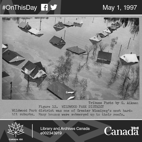 Photo of another of Manitoba’s regular major floods: Wildwood Park District, one of Greater Winnipeg's most hard-hit suburbs in 1950. Many houses were submerged up to their roofs.