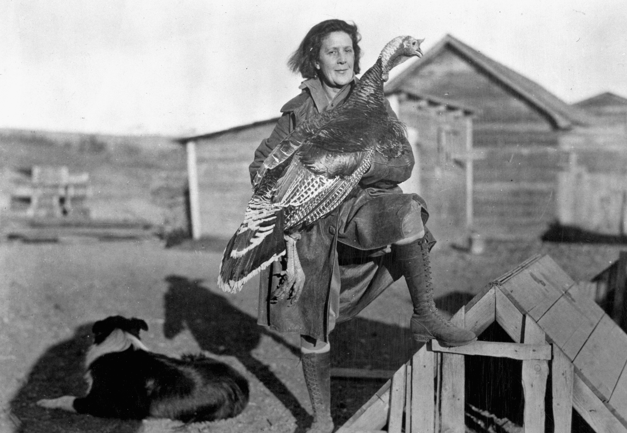 Woman on a farm holding a turkey, a dog lying beside her.