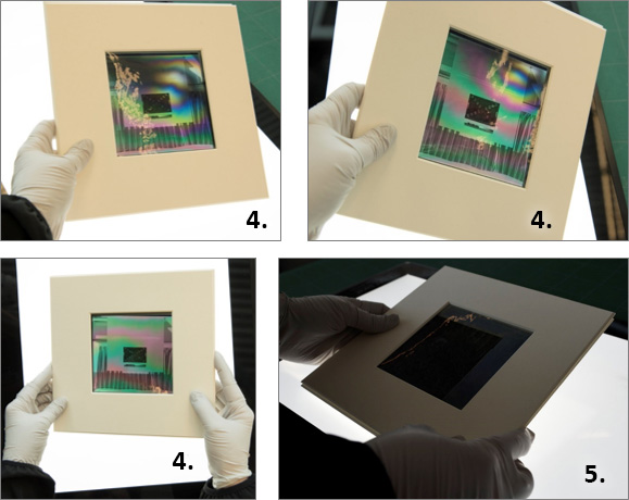 gloved hands manipulating a polarizing viewer with a negative inside showing a black or rainbow effect as described in steps 4 and 5