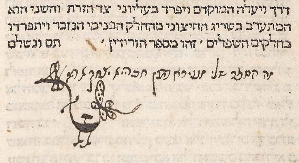 Photo couleur montrant une partie d'une vieille page avec du texte hébraïque manuscrit au sommet et un griffonnage qui ressemble à une souris avec des pattes de poulet en-dessous